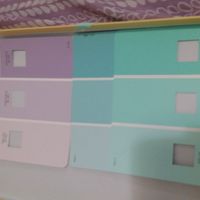 Bridesmaid Boxes? has anyone asked their maids with them??