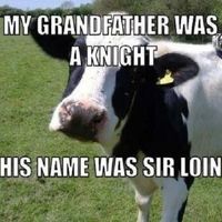 NWR:  Share some Memes