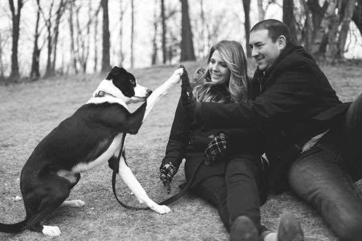 Show me those puppies!