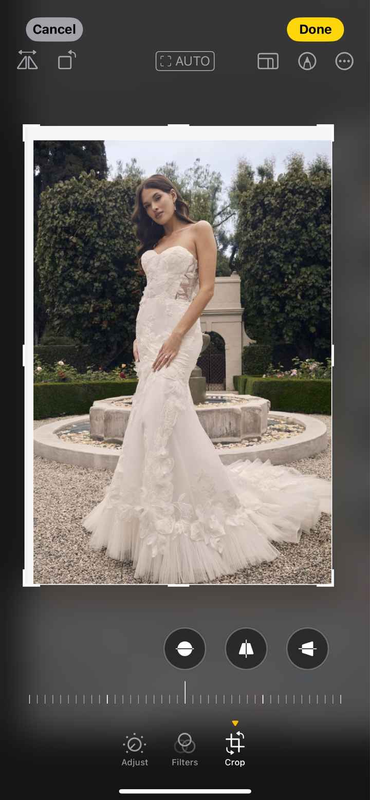 Help!!! which Dress! - 2