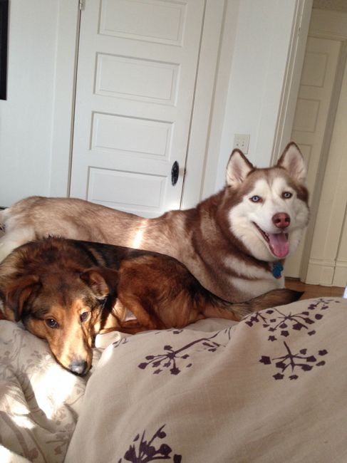 NWR - Furbaby Friday