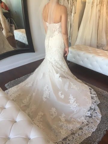 Have you said YES to the DRESS?