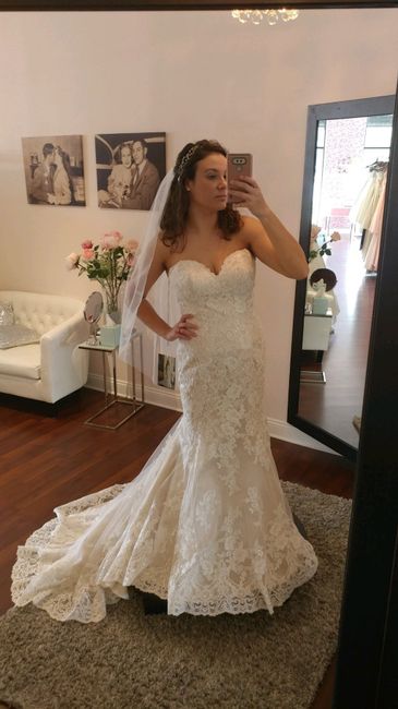 My Dress Came In - Too Tight/gained Weight (please Read). 1