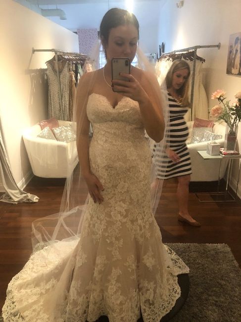 My Dress Came In - Too Tight/gained Weight (please Read). 3