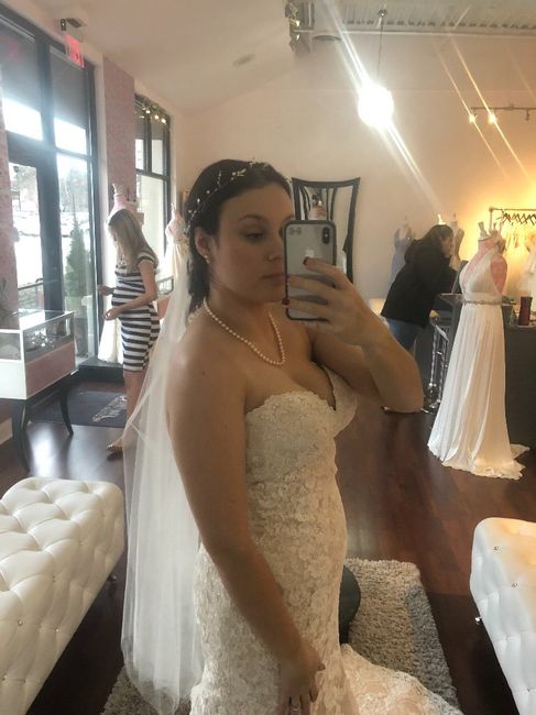 My Dress Came In - Too Tight/gained Weight (please Read). 4
