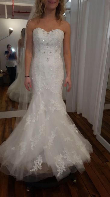 My dress came in!!!