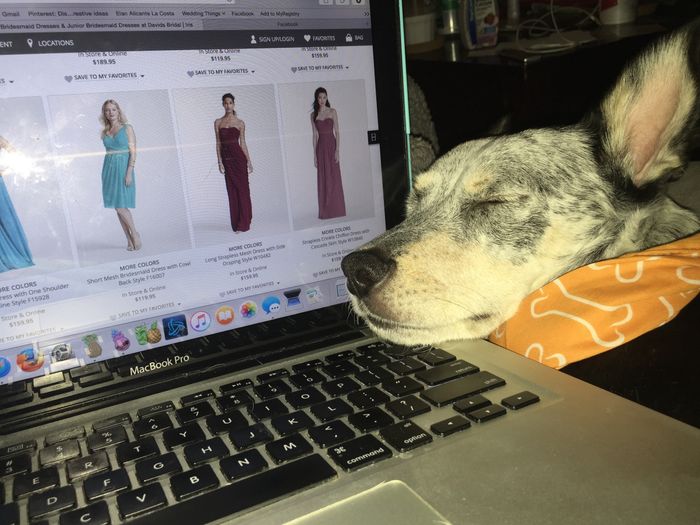 Whose helping you WW!?!