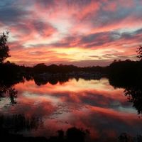 BAM!!!!!! Non Pro Pics (Pic Heavy)