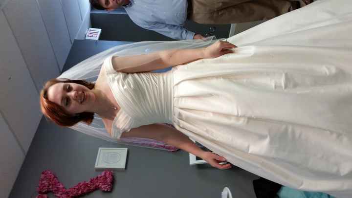 Alterations Question! BIG DRESS DECISION. Help! Help! Help!