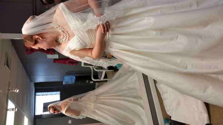 Alterations Question! BIG DRESS DECISION. Help! Help! Help!