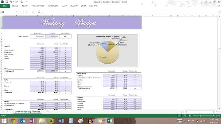 How are you keeping track of your expenses and budget?