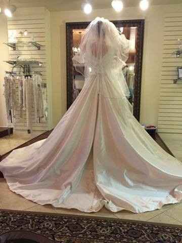 Alterations Question! BIG DRESS DECISION. Help! Help! Help!