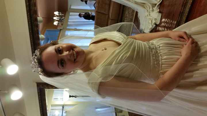 Alterations Question! BIG DRESS DECISION. Help! Help! Help!