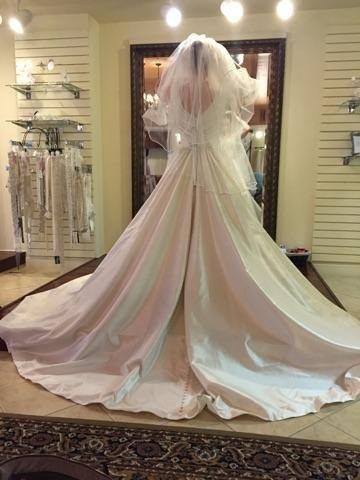 Alterations Question! BIG DRESS DECISION. Help! Help! Help!
