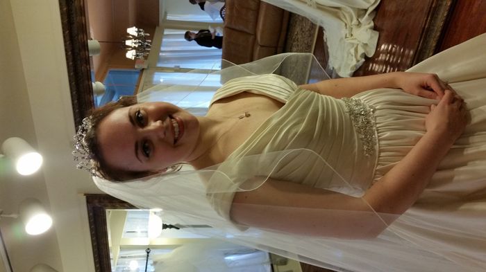 Alterations Question! BIG DRESS DECISION. Help! Help! Help!