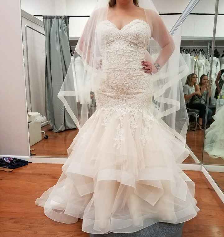 Have you said YES to the DRESS?