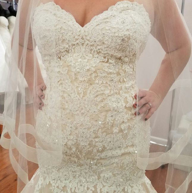 Picked Up My Mori Lee! And, a Booty Question.