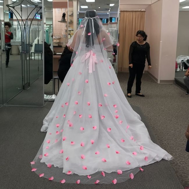 My last fitting was yesterday