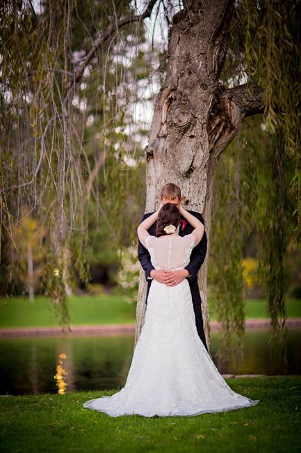 Pro pics are here!