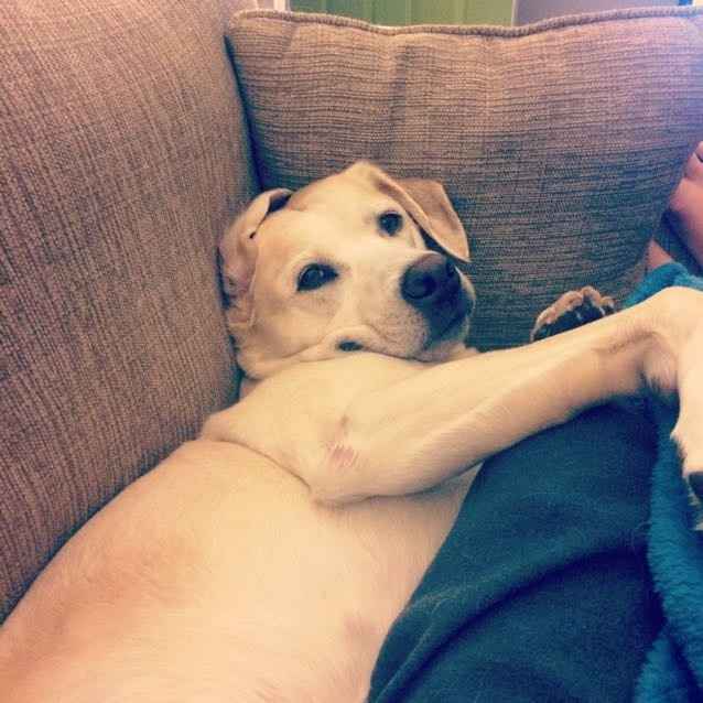 Fur baby