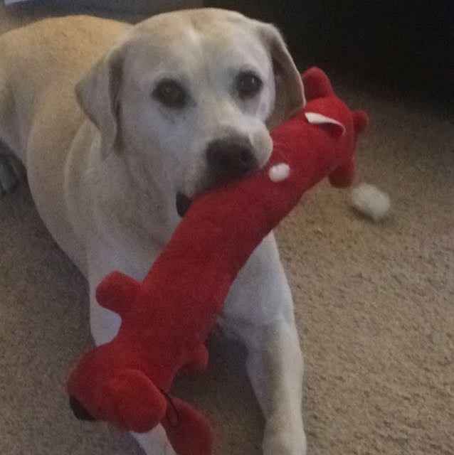 NWR - I need lab help!