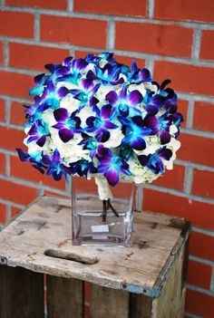 Help where can i find these!