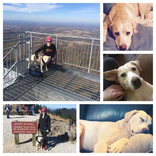 Spinoff: Show us your rescues!