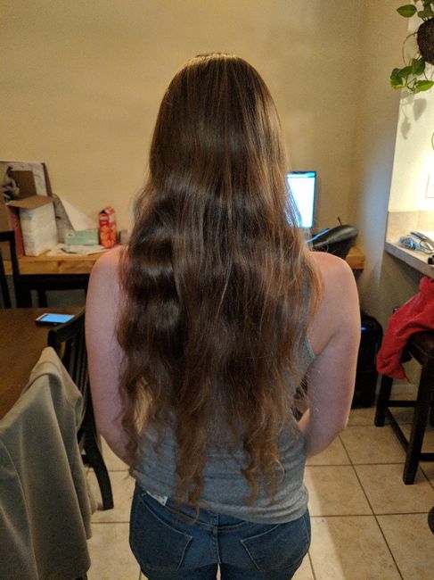Long hair brides - 2