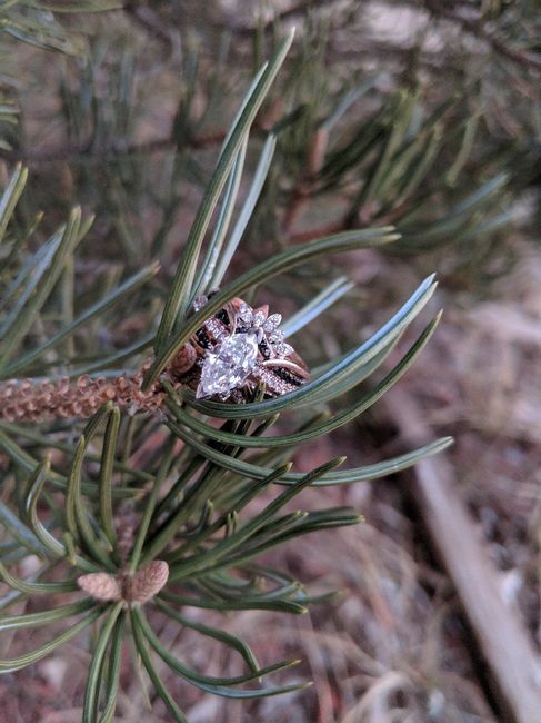 Marquise shaped stones, share yours! 4