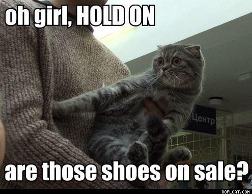 I am in love with this cat!