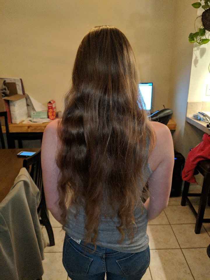 Long hair brides - 2