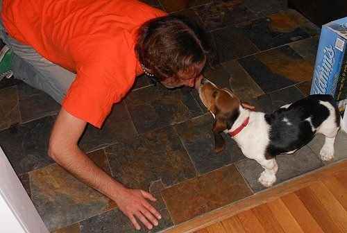 Let's see some FUR babies!