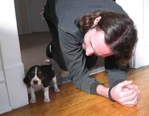 Furbabies then and now