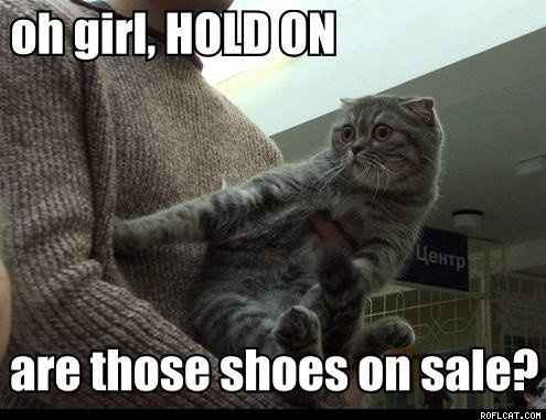 I am in love with this cat!