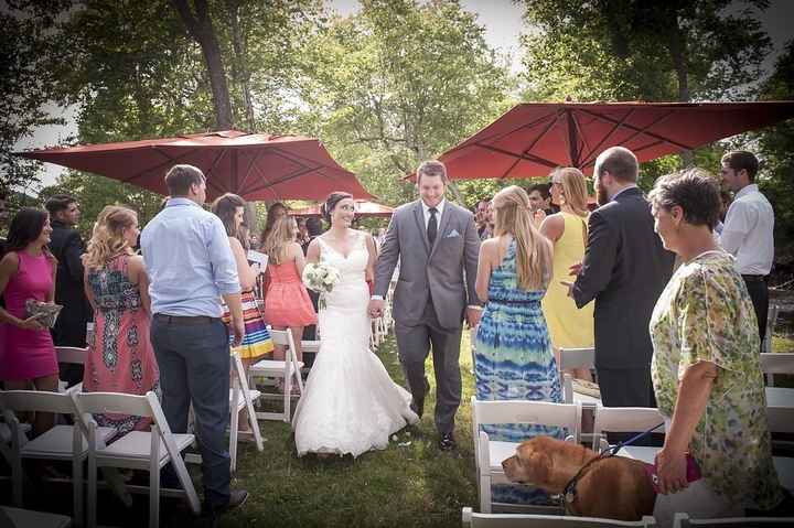 There was a dog at my wedding? And highlight video