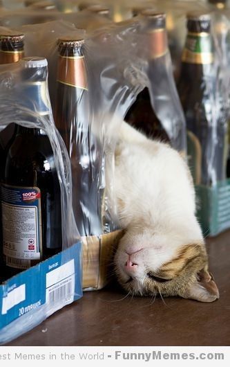 I need some advice on the alcohol subject......