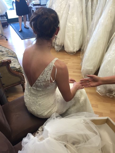 UPDATE With dress 3 pics/final verdict in comments? HELP new dress two weeks out? (Pics)