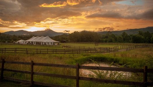WeddingWire Editor's Picks!