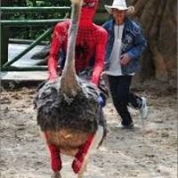 Any celebrities attending your wedding?