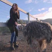 Any celebrities attending your wedding?