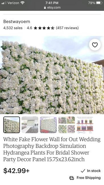 Ceremony Backdrop for Unique Layout Issue - 1