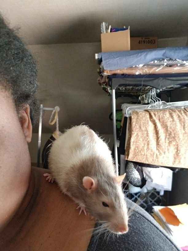 Nwr- show me your fur babies