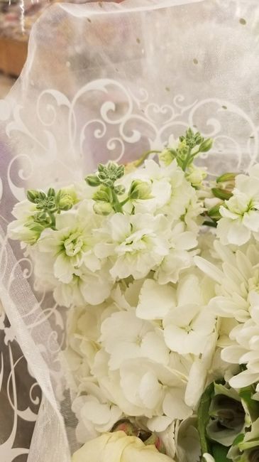 All White Flowers? - 2