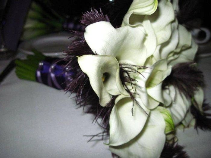 HELP FLOWERS!!!!