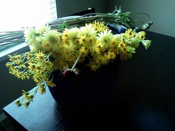 Which do you like more? Please help me pick my centerpiece!