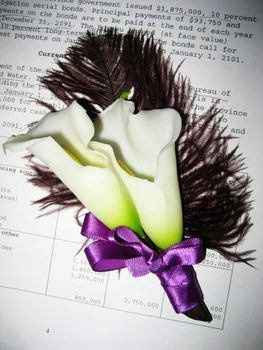 HELP FLOWERS!!!!