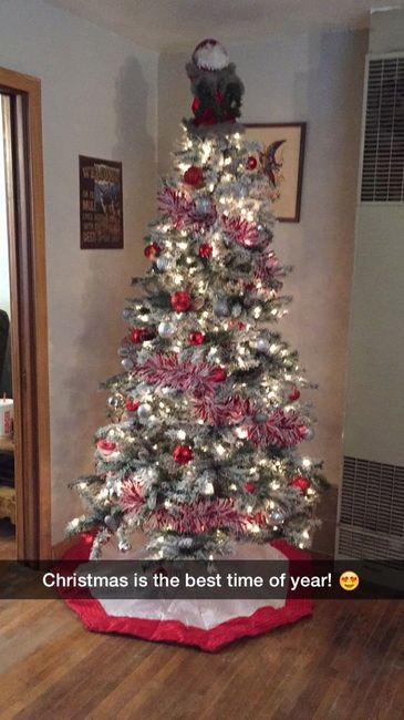 NWR: Show me your Christmas Trees, Hanukkah decor, or any other holiday stuff you put out!!