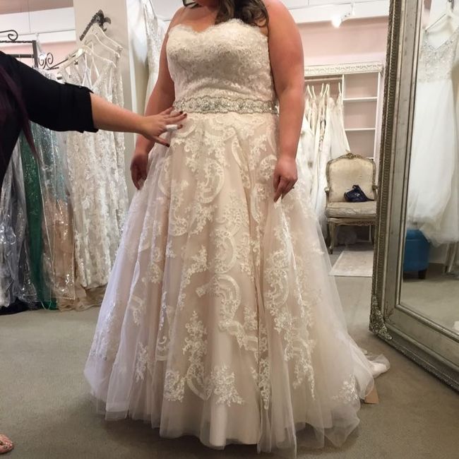 Plus Size Dresses