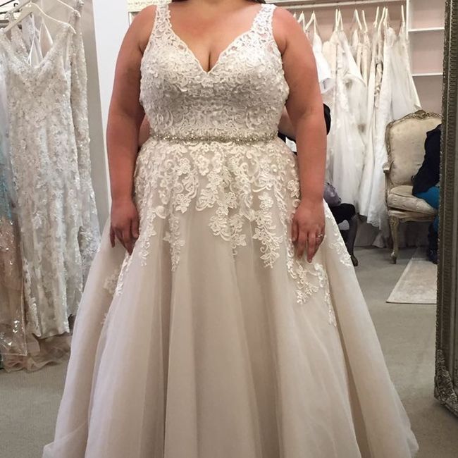 Plus Size Brides , share your dress !