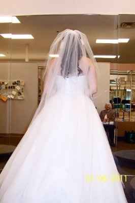 Veil or No Veil?
